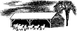 Black and white ink illustration of several sheep entering a sheepcote (a pen for sheep).